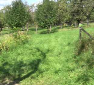 Hochgehnießen - Premiumspazierwanderweg