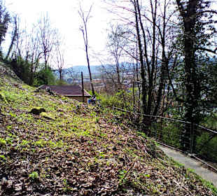 Schlossberghöhlen in Homburg