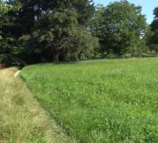Hochgehnießen - Premiumspazierwanderweg