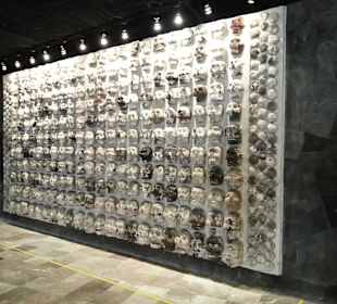 Schädelwand im Museum