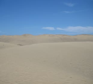 Dünen von Maspalomas