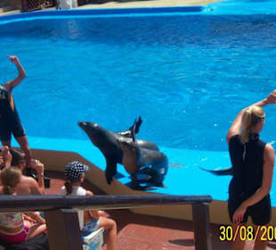 Marineland