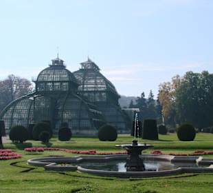 Palmenhaus