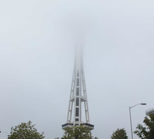 Needle im Nebel