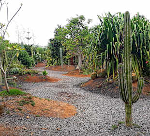Botanischer Garten Viveiro