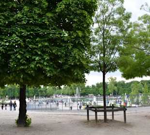 Jardin des Tuileries