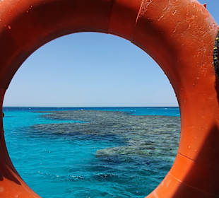 Delfin Tour Makadi Bay