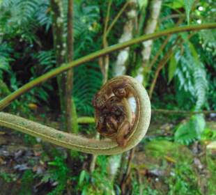 La Paz Waterfall Gardens