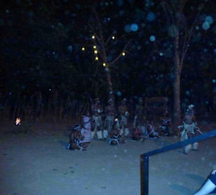 Krüger Nationalpark