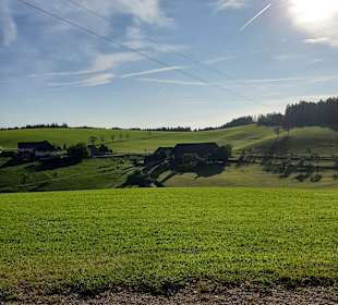 Wandern Wolfach