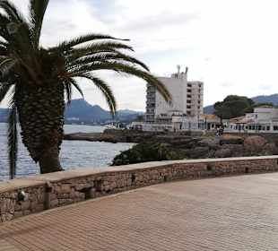 Blick vom Hafen zur Promenade