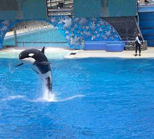 Sea World
