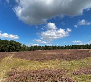 Wandern Bad Bevensen