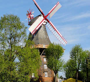 Mühle am Wall - die "Kaffee Mühle"