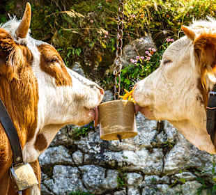 Wandern St. Martin bei Lofer