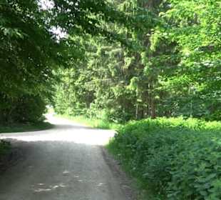 Klimaweg Sonnenalb