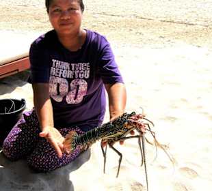 Kaum gefangen , schon im Angebot!