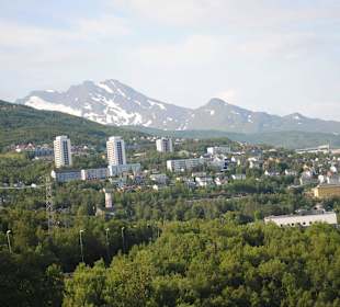 Narvik