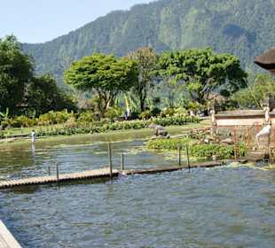 Pura Ulun Danu Tempel