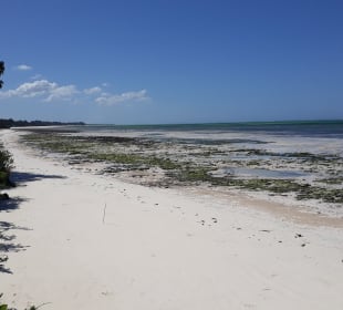 Strand Jambiani