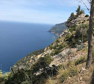 Wandern Andratx-St. Elm