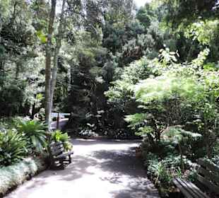 Eden Garden ein Paradies mitten in der Stadt