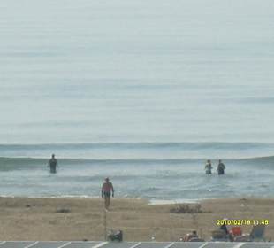 Erste Schwimmer 18.2.10