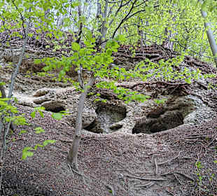 Wandern Bad Tölz