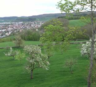 Schloss Kapfenburg