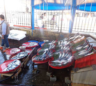 Auf dem Fischmarkt