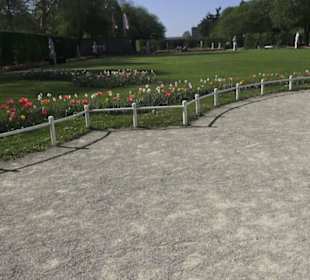 Rheinisches Landesmuseum