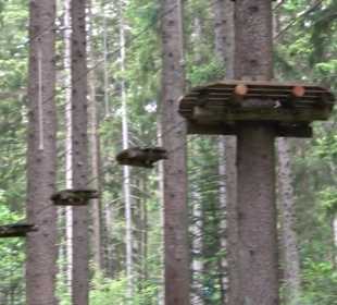 Waldklettergarten Atreenalin Dornstetten-Hallwange