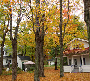 Under a carpet of autumn leaves.