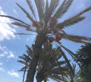 Strandpromenade Playa del Inglés