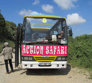 Cabrio Bus