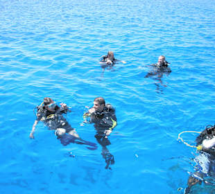 Shaab Marsa Alam
