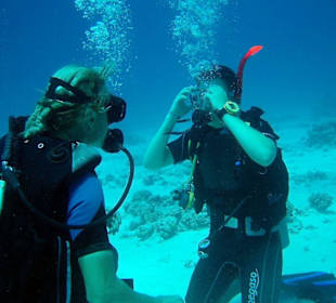 Professionellle Ausbildung