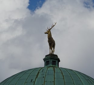Kunstgebäude