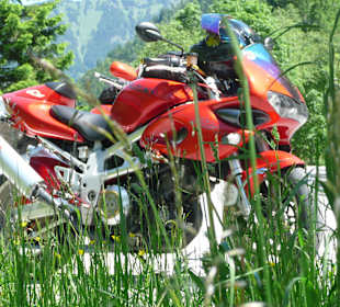 Bikers Traum - Freiheit und Natur