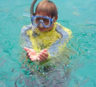 Schnorcheltour mit Perm Poon Sub