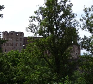 Bergbahn - Eindrücke rund ums Schloss