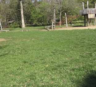 Wanderparkplatz Tannenwald