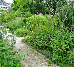 Impressionen vom Rundgang durch den Riedergarten