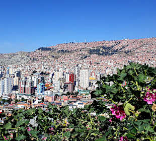 La Paz