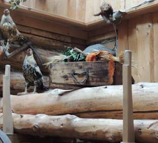 Hochwurzenhütte innen