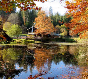 Herbst am Schwellhäusl / Trifter Klauise