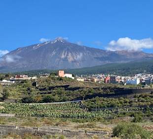 Wandern Puerto de la Cruz 