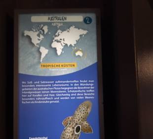 Aquarium