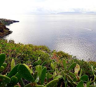 Ausblick vom Denkmalplatz