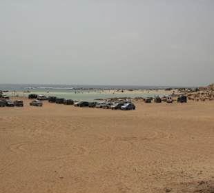 El cotillo